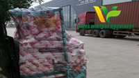 Sri Lanka Corn Dual Production Line Delivery