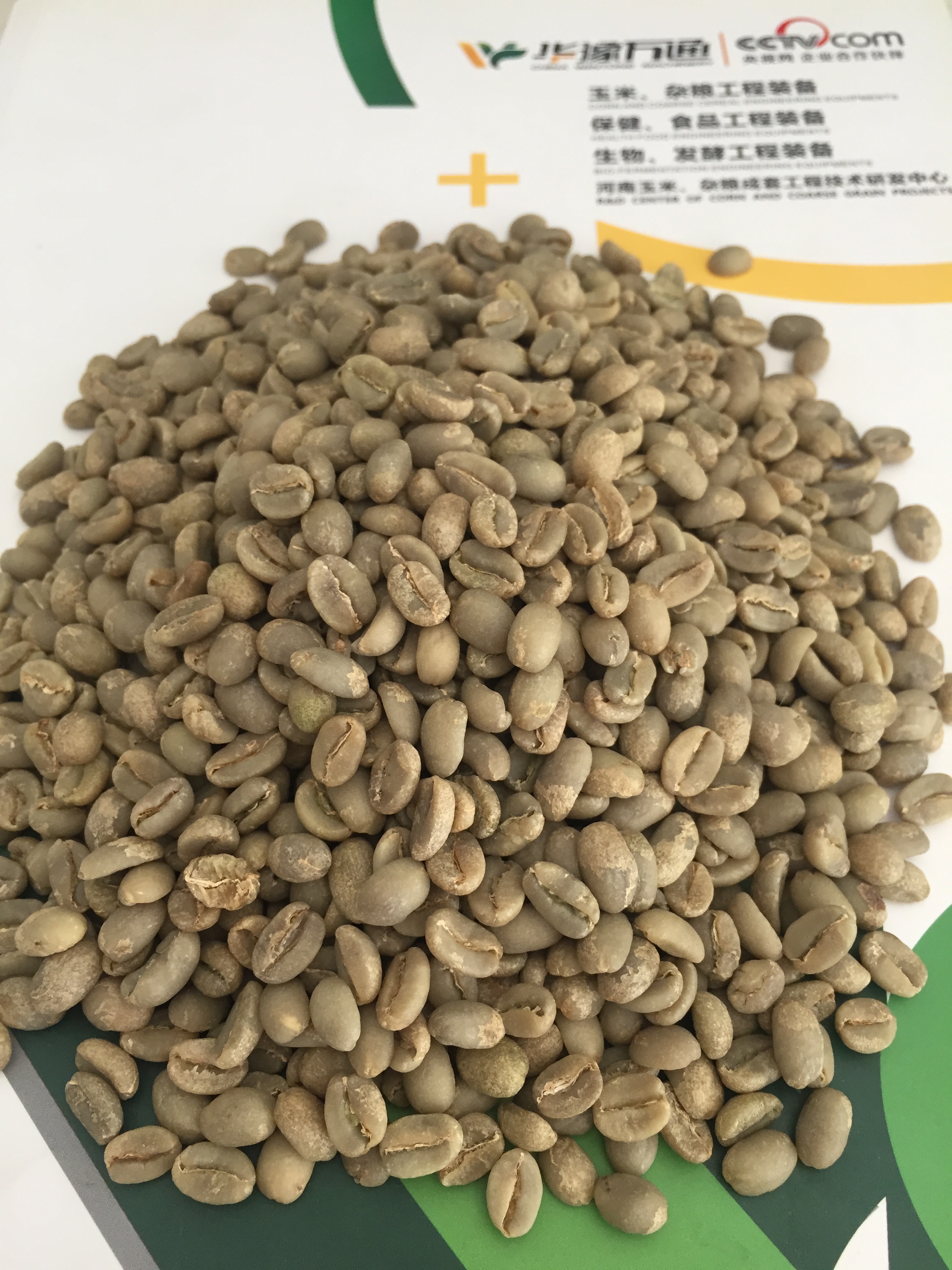 Coffee Beans Cleaning Project ቡና ማጽጃ/መልቀሚያ ማሽኖች