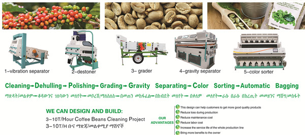 160T/Day Coffee Bean Cleaning Plant Built in Ethiopia