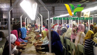 50T Chickpea Cleaning Plant in Tanzania