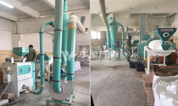 Kazakhstan 2TPH Lentil Peeling Plant Was Installed Successfully