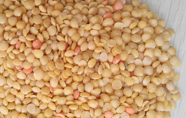 Bean bran removing machine peeled lentil.jpg