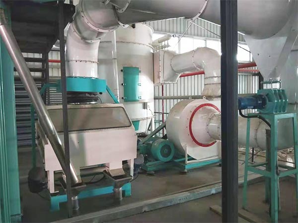 chickpea cleaning processing plant