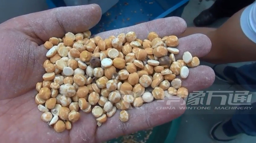 chickpea peeling machine 