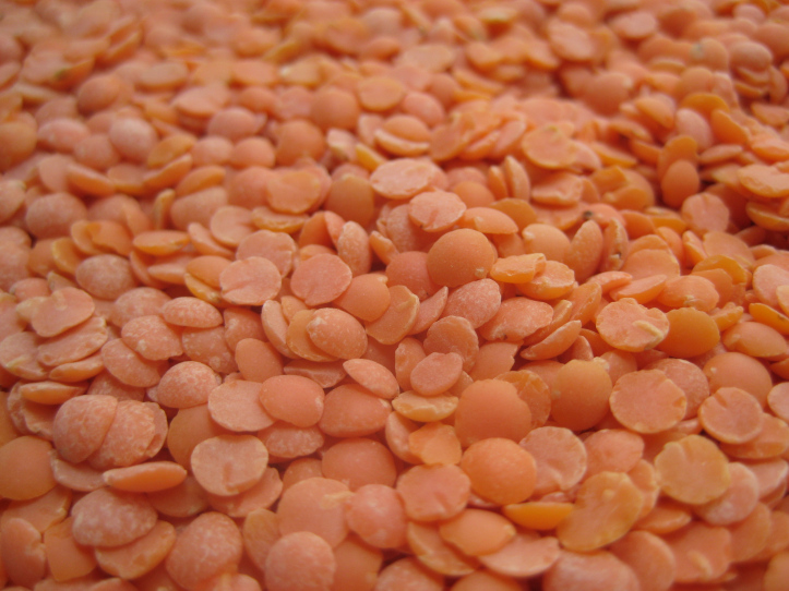 bean peeling, splitting and grading plant.jpg.jpg