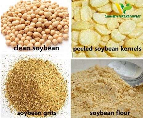 pulses processing plant soybean processing.jpg