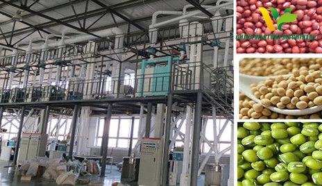 pulses processing plant.jpg