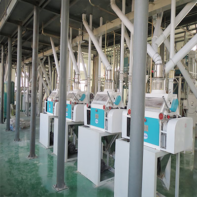 Soybean Peeling, Kernel Making, Grits and Flour Milling Plant