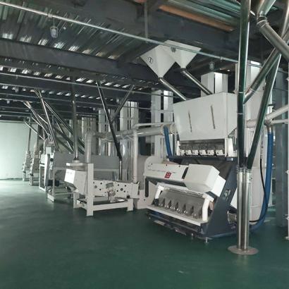Complete Bean Pulses Cleaning Plant and Solution