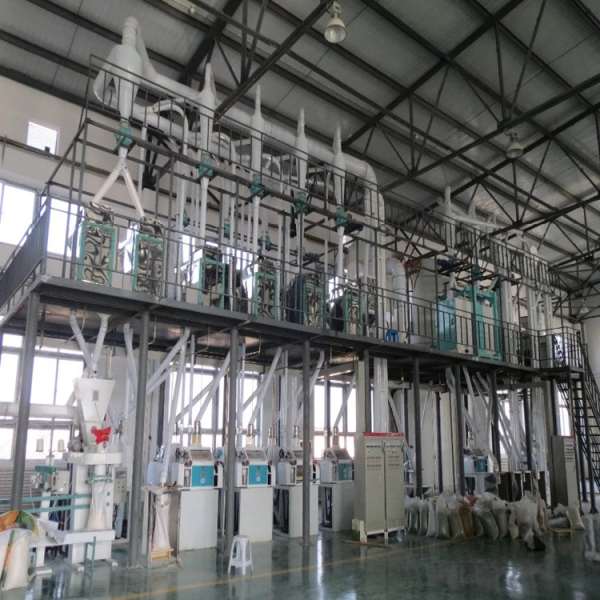 20T Soybean Processing Plant Soya Bean Processing Plant