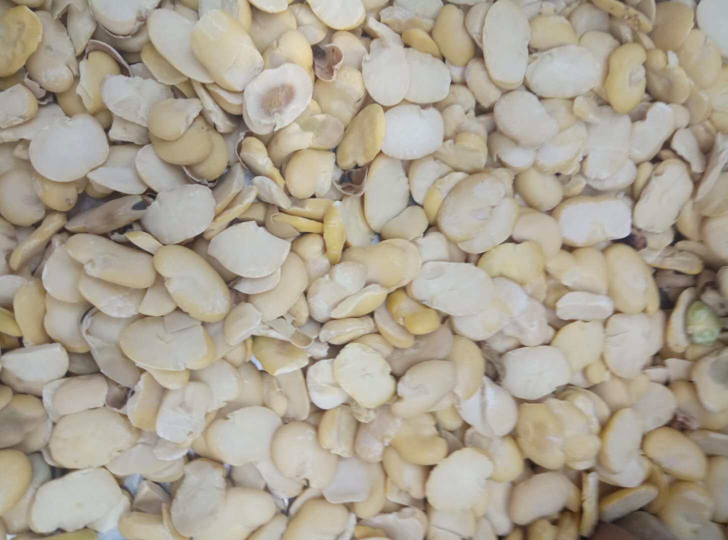 Broad bean peeling machine