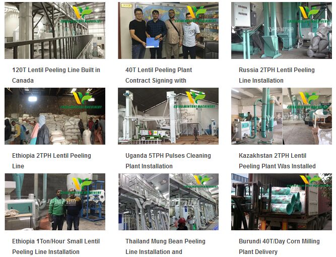 grain processing plant cases