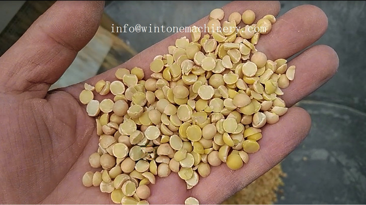 peeled soybean 