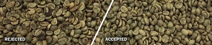 clean coffee beans 