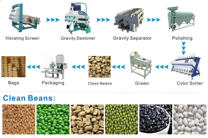 bean preliminary cleaning equipment