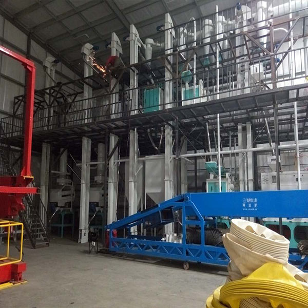 lentil processing plant