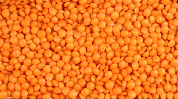 Bean peeler peeled lentil.jpg