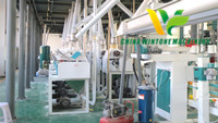 Butter Bean Processing Equipment Lima Bean Peeling and Milling Line