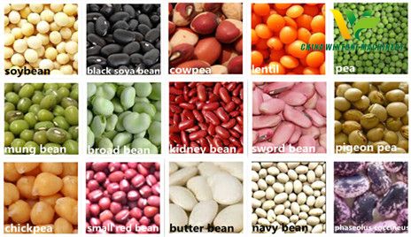 bean grinder beans grinder bean mill.jpg