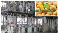 Soybean Peeling, Kernel Making, Grits and Flour Milling Plant
