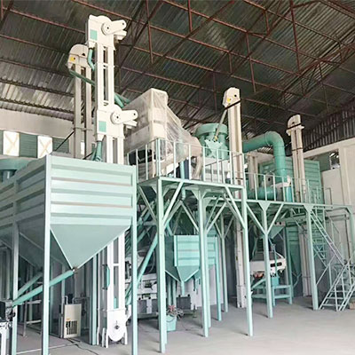 5TPH Coffee Beans Cleaning and Sorting Machine