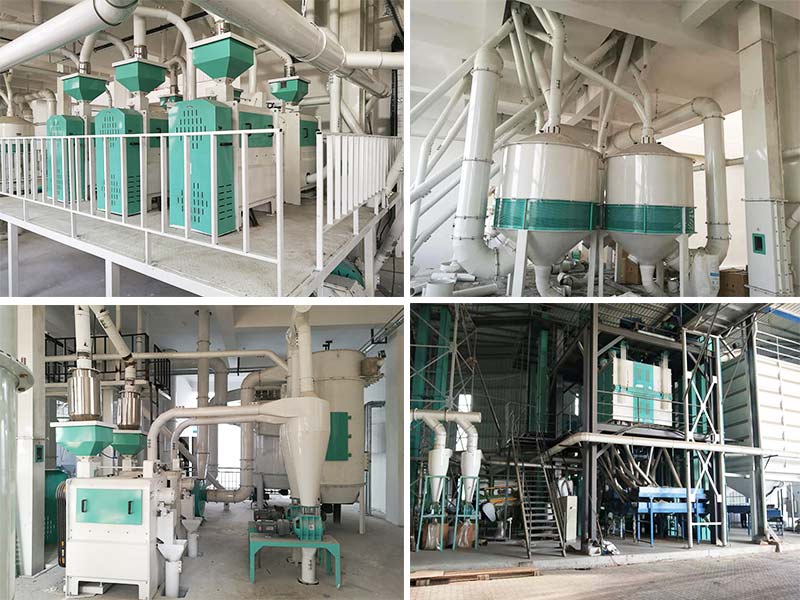 500TPD Peas Processing Plant