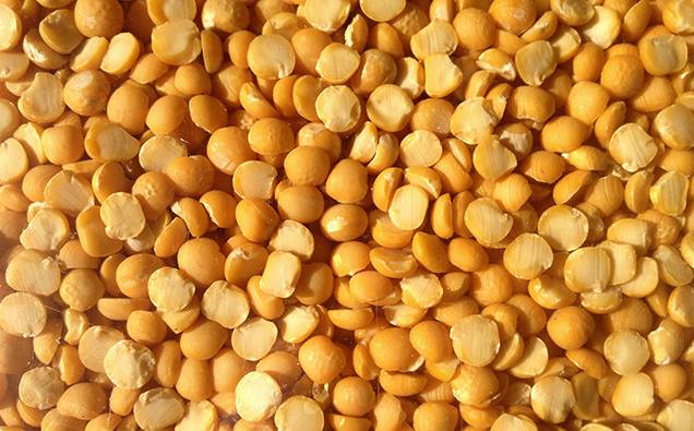 peeled and split yellow pea 