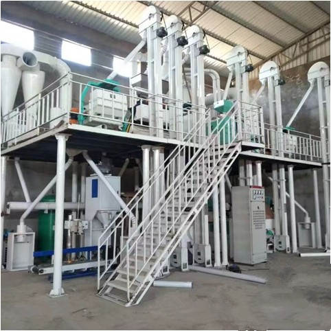 Lentil Processing Machine Lentil Procesisng Plant