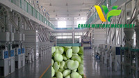 Broad Bean Flour Milling Machine Broad Bean Grinding Equipment