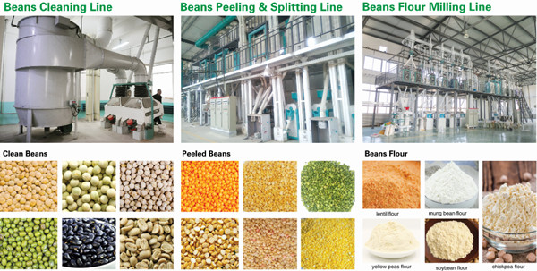 soybean processing plant