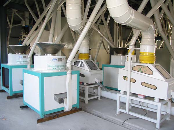 buckwheat processing plant