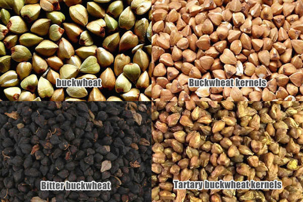 processed buckwheat seeds