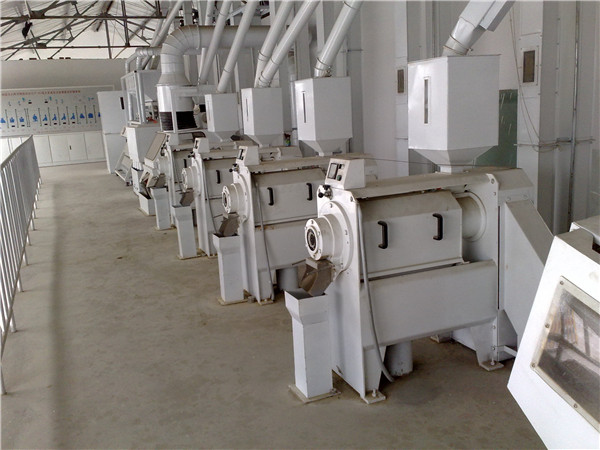 Millet Whitening and Polishing Machine