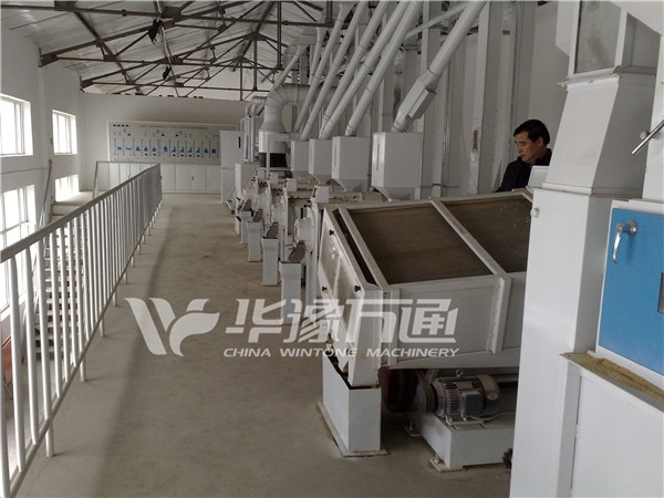 Millet Processing Machines 