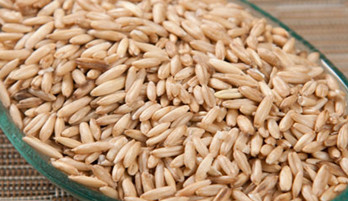 oat hulling machine hulled oat.jpg