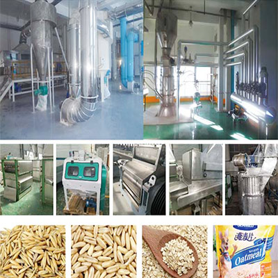 Oats Processing Rolling Line Oat Flakes Production Line