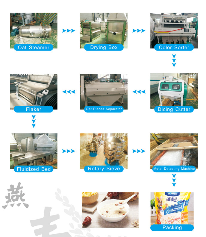 oat flakes production line