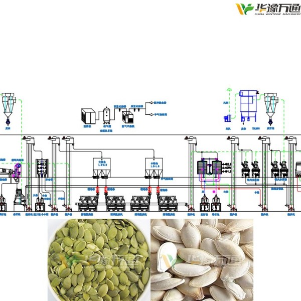 Pumpkin seeds shelling and separating equipment