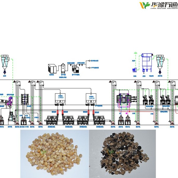 Peony seed shelling equipment