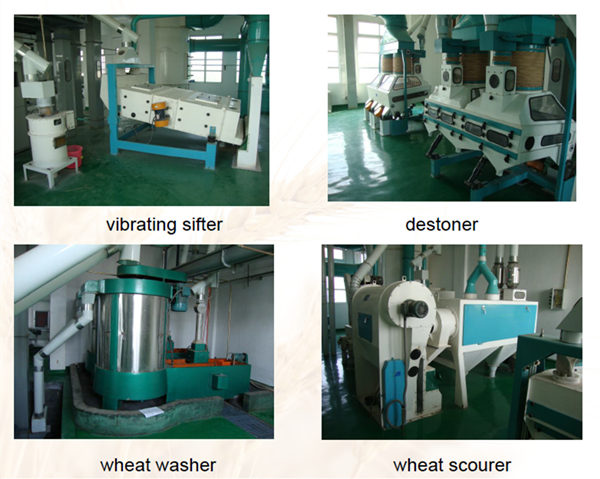 500TPD Wheat Processing Plant