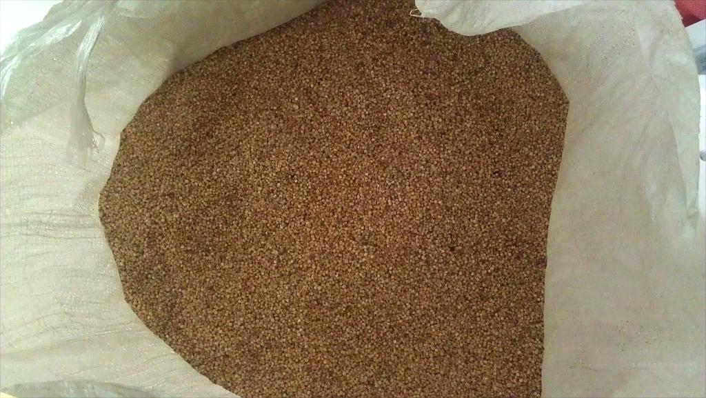 Complete Quinoa Processing Plant