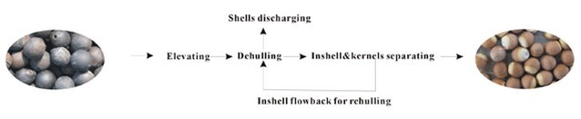 foxnut dehulling and separating machine