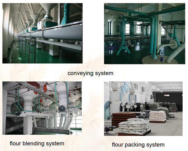 500TPD Wheat Processing Plant