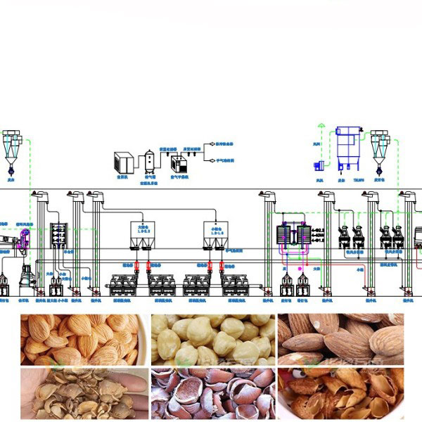 Hazelnuts Dehulling and Separating Machine