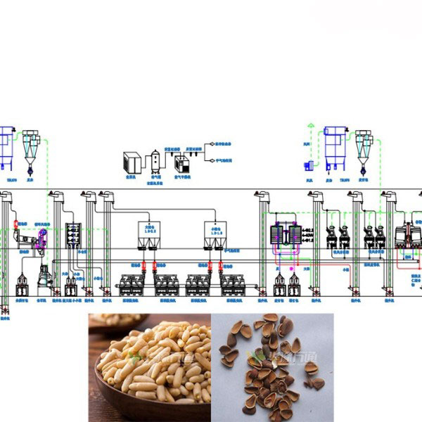 Pakistani Pine Nut Dehulling Machine