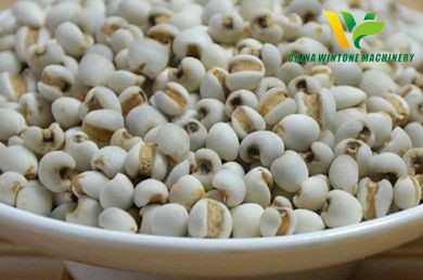 Chinese pearl barley dehulling machine coix seeds.jpg