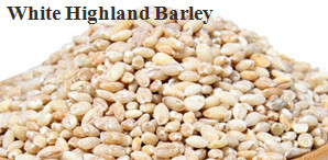 MTPS series highland barley peeling machine.jpg