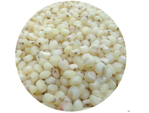 sorghum peeling machine.jpg