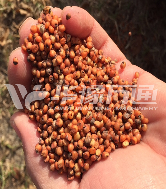 Sorghum Milling Machine