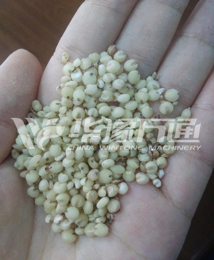 Sorghum Milling Machine